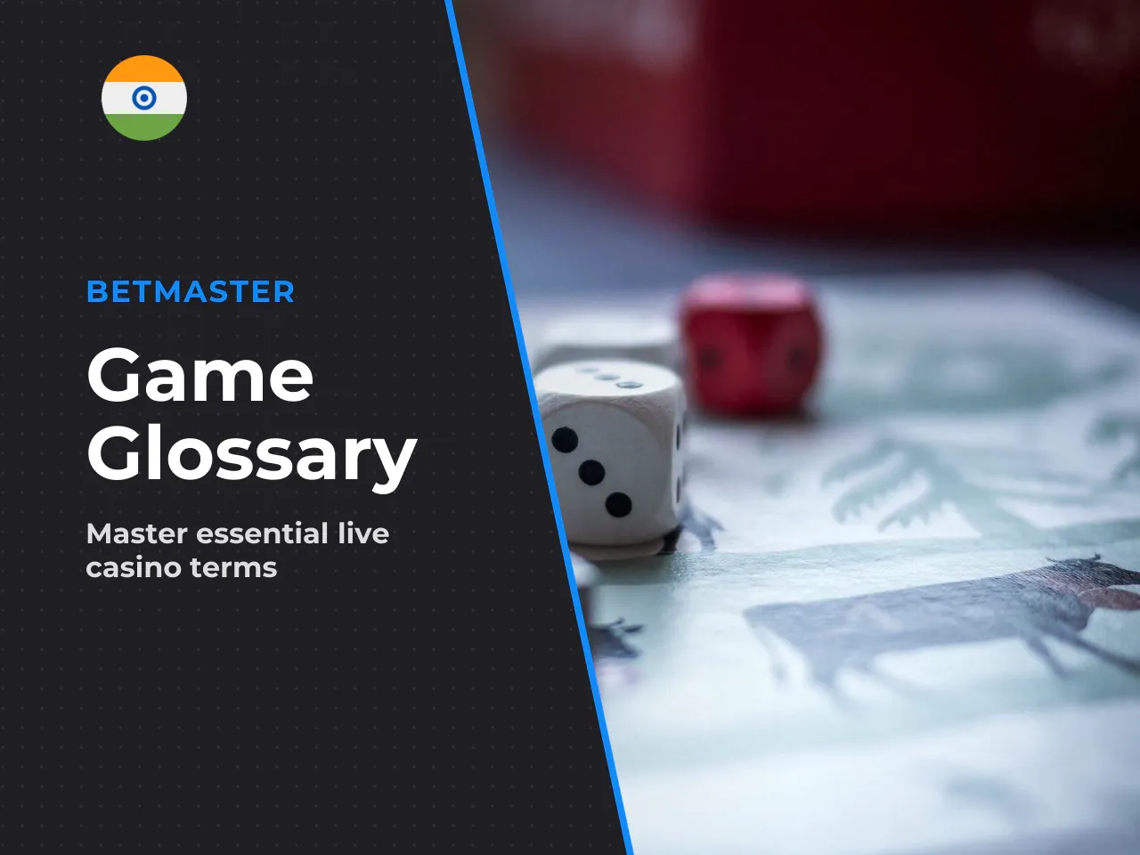 Mini Glossary Terms You Will Meet